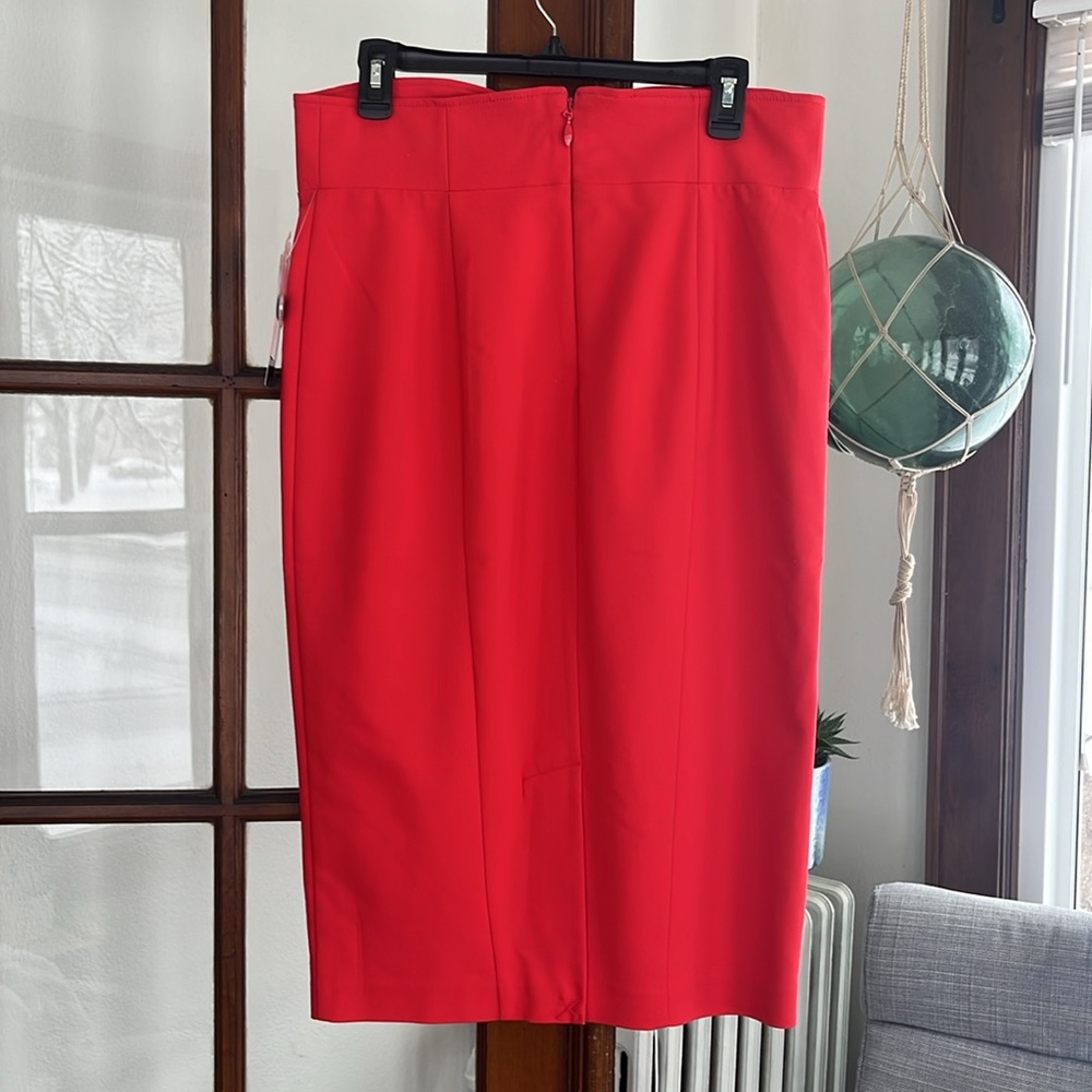 NWT Gorgeous Skirt! - Picture 3 of 10